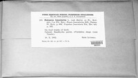 Fomes fomentarius image